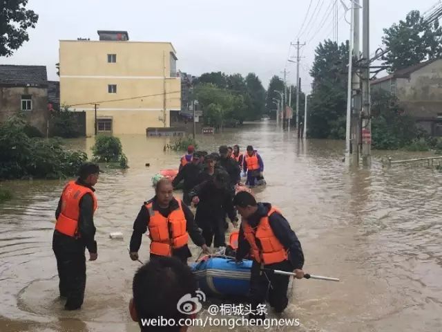 503314731531982865 503314731531982865