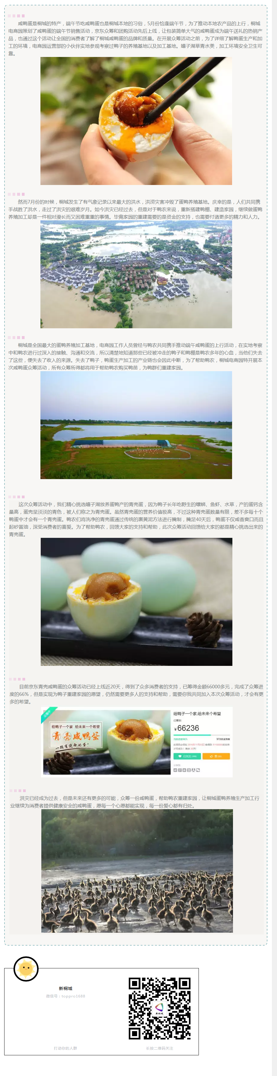 給鴨子一個家，給未來一個希望